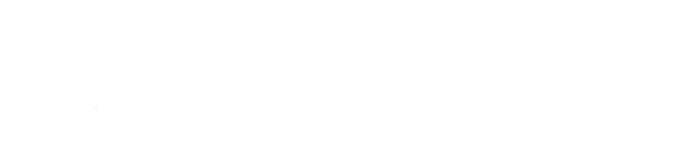 INVERSUS